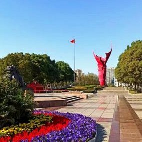 国内多家公司宣布：下周一，放假