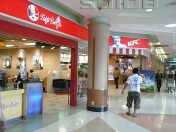 基层教练成瓶颈 中国足球难上青天