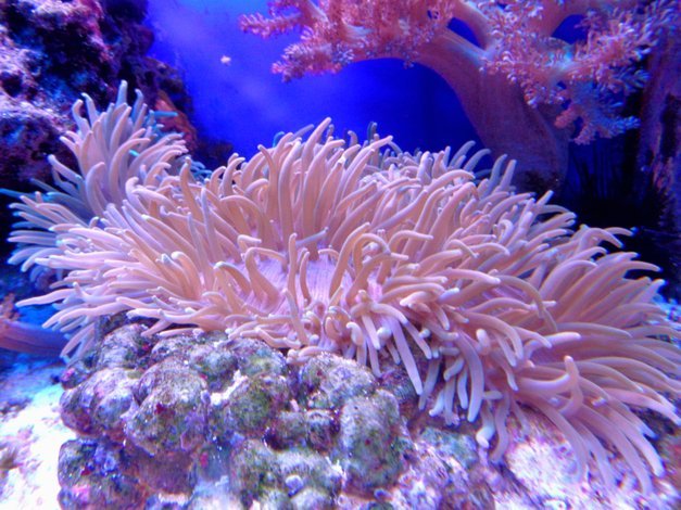 拜仁发布上赛季社媒数据：关注数破2.2亿，超过巴黎和阿森纳